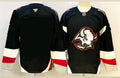 Buffalo Sabres Customizable Jersey